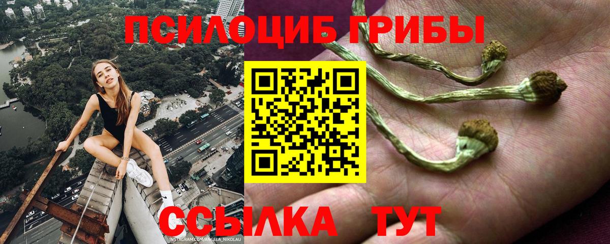 Псилоцибиновые грибы GOLDEN TEACHER Кондопога